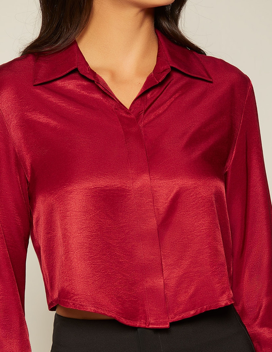 Blusa camisera Sin familia o colección manga Larga para mujer 5